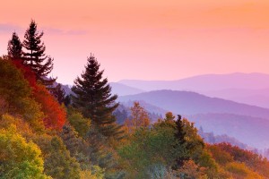 Autumn Mountains at Sunrise Great Smoky Mountains National Park , Tennessee MORE AUTUMN NATURE[url=http://www.istockphoto.com/search/lightbox/4751482] [IMG]http://www.istockphoto.com//file_thumbview_approve/9617101/1/istockphoto_9617101-colorado-snow-capped-peak.jpg[/IMG] [IMG]http://www.istockphoto.com//file_thumbview_approve/5243503/1/istockphoto_5243503-snow-geese-in-flight.jpg[/IMG] [IMG]http://www.istockphoto.com//file_thumbview_approve/10891727/1/istockphoto_10891727-autumn-aspen-and-colorado-mountains.jpg[/IMG] [/URL]