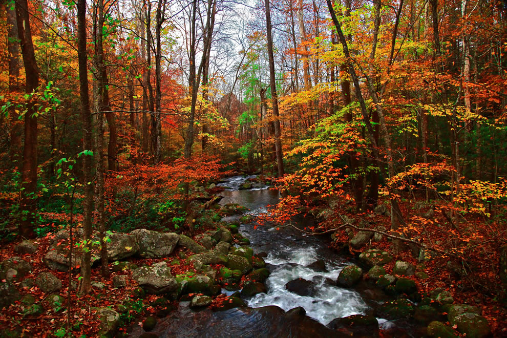 When is the Best Time to See Smoky Mountains Fall Colors?