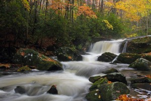 tremont-waterfall-great-smokies