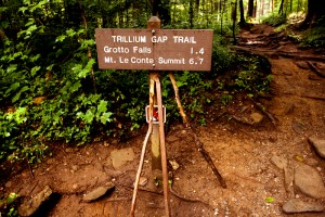 hiking-trillium-gap-to-brushy-mountain-smokies-2