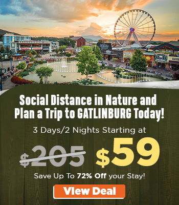 GATLINBURG SOCIAL DISTANCE 2