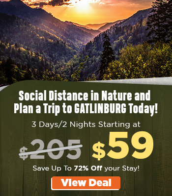 GATLINBURG SOCIAL DISTANCE 4