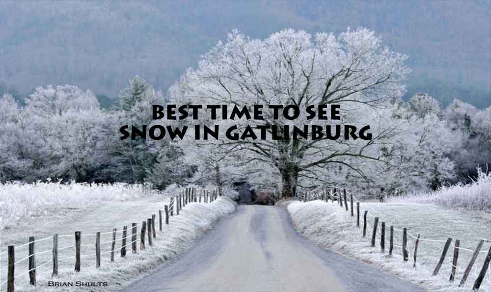 Weather In Gatlinburg In February 2024 Grace Nellie