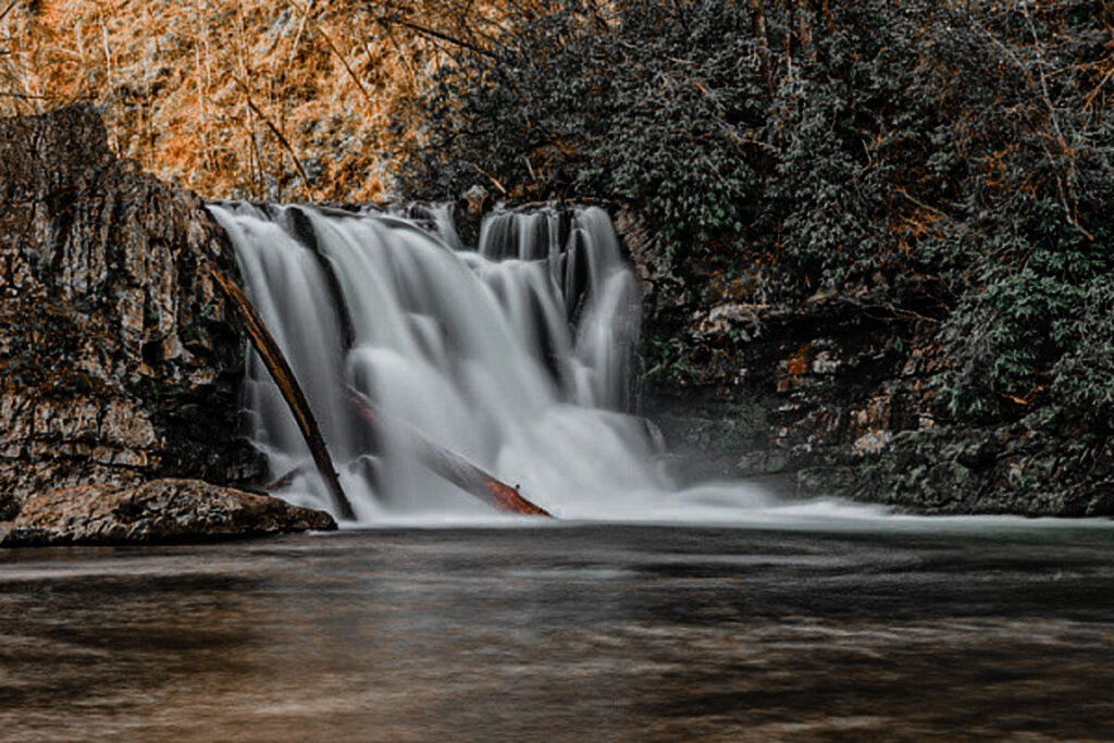 Abrams Falls is a great sight all year round but especially in the Fall season!