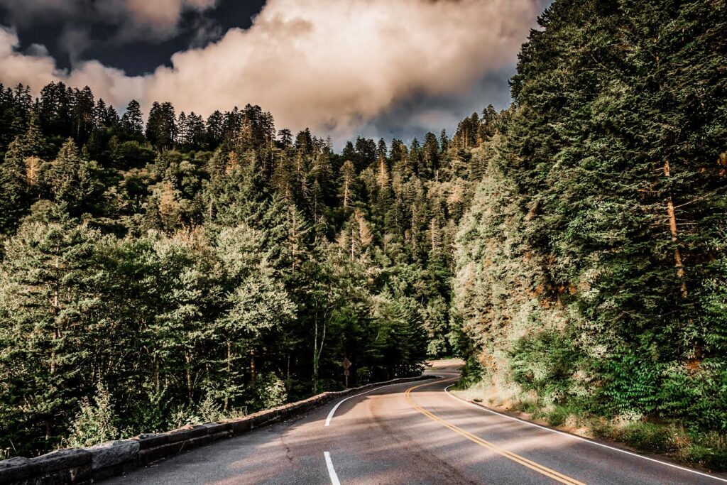 Newfound Gap Road, in Great Smoky Mountains National Park, Tennessee.