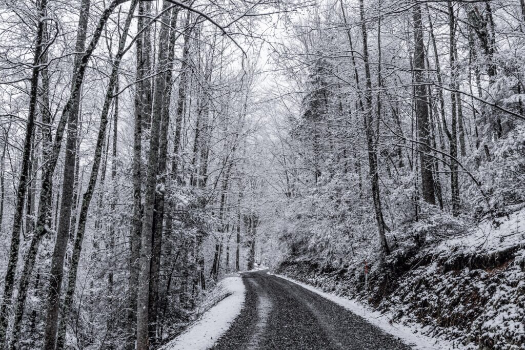 Scenic drive in the snow