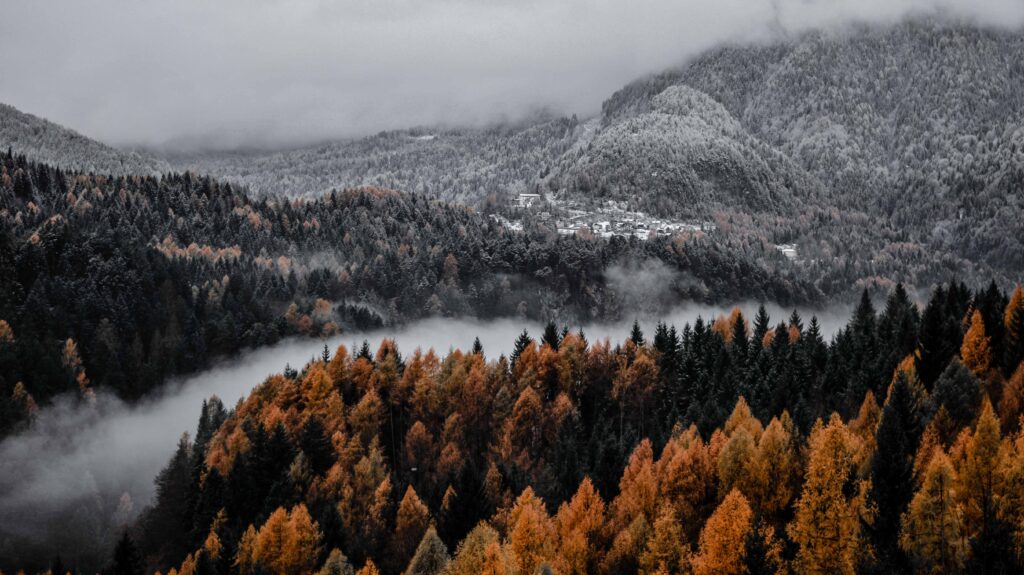the fog in the valley of the river divides the winter from autum