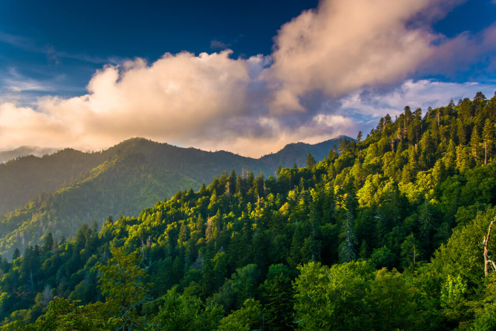 Evening light on the Smokies, seen from an overlook on Newfound