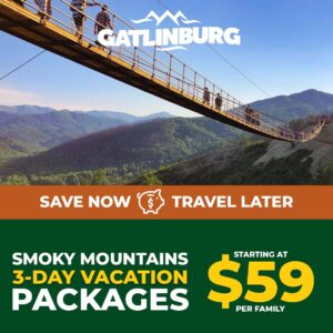 Save Money In Gatlinburg with these amazing offers that your family will love - Skybridge in Gatlinburg is a scenic view