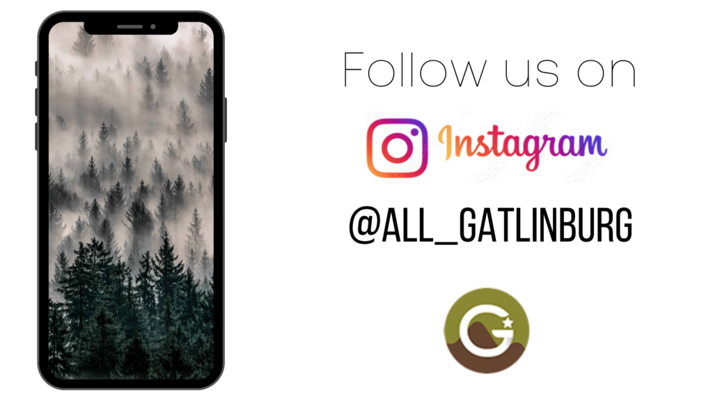 Follow us on Instagram for all the content in Gatlinburg!