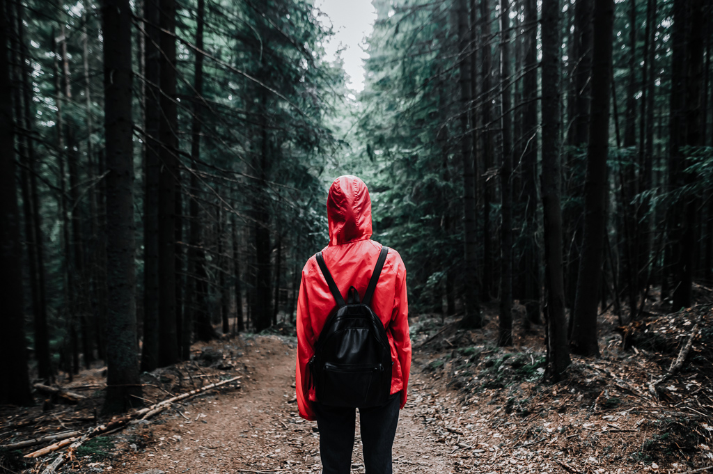 Hiker woman in red raincoat and backpack stands on a path in mountain forest and looks forward, rear view. Girl in the raincoat walks through the dark forest. Background. Copy space