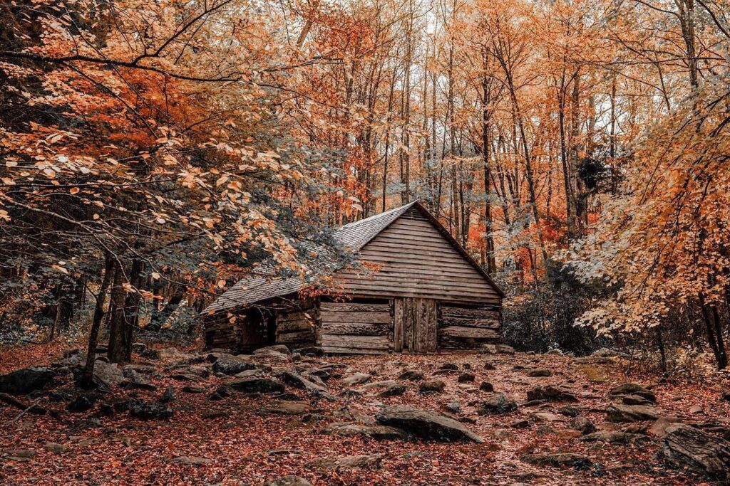 Cades Cove Historic Cabins in the Fall