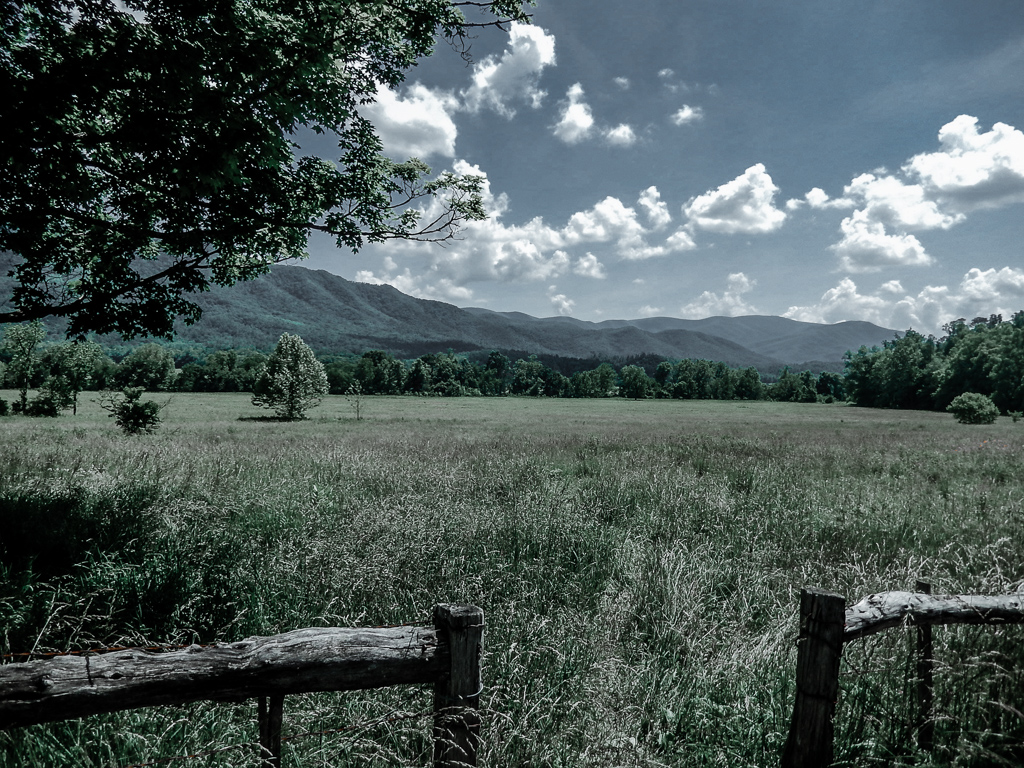 Cades Cove Valley is stunning, open, with the rolling mountains in the background