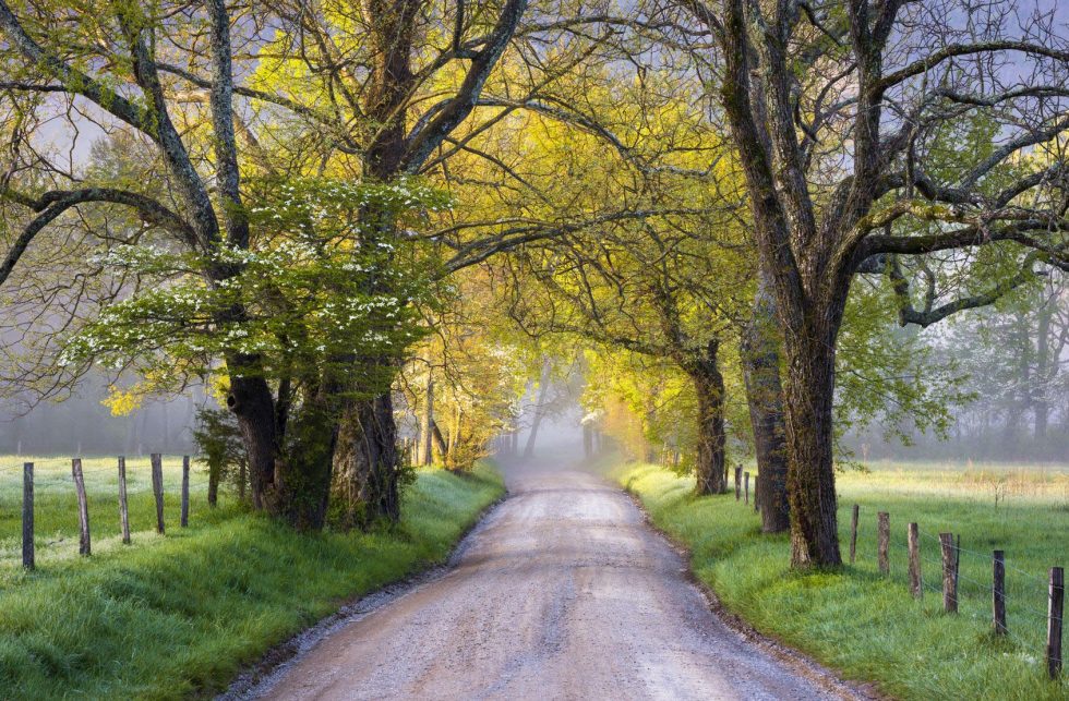 The Mountains Are Calling - Cades Cove is stunning!