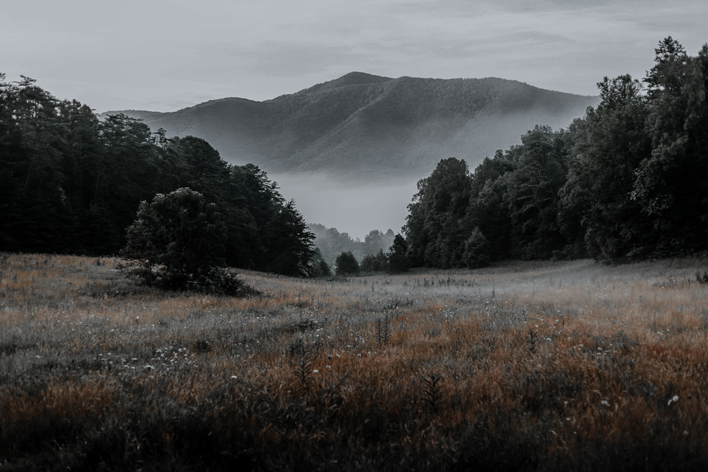 High in the mountains you'll find beauty at every glance. Gatlinburg Elevation is high and mighty