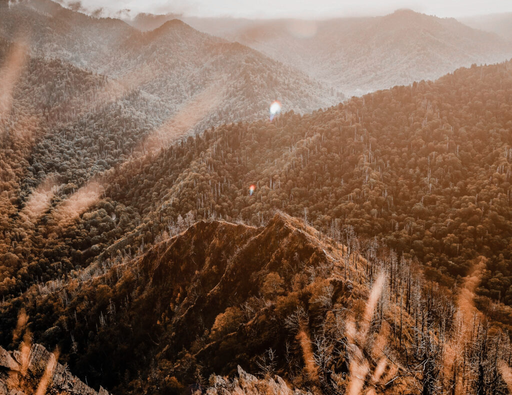 Ober Gatlinburg is home to the Wildlife Encounter which is your chance to see the rolling mountains with spectacular views