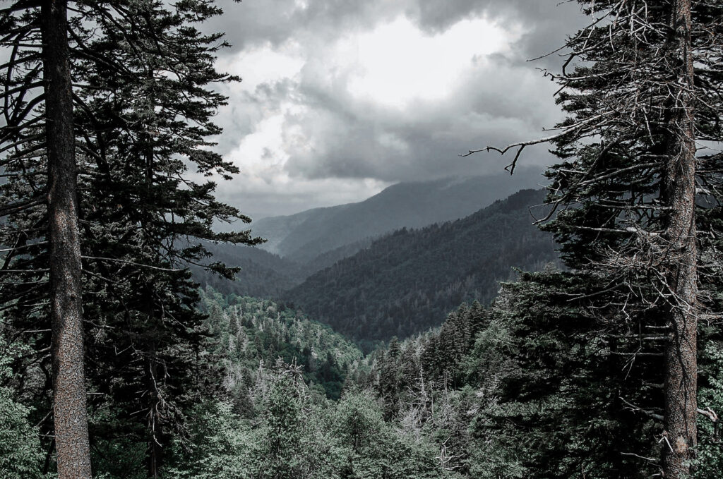 Roaring Fork Motor Trail View Is Quite The Experience - this too can be one of the other The Biggest Gatlinburg Mistake People Make