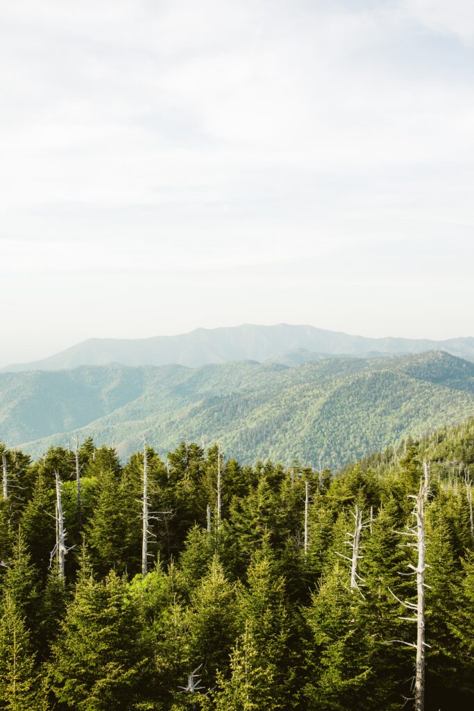 Going When Clingman's Dome Road Is Closed Is An Extra Intense Hike