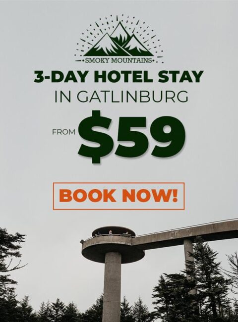 Going to Clingman's Dome - take advantage of 3 days in Gatlinburg for $59
