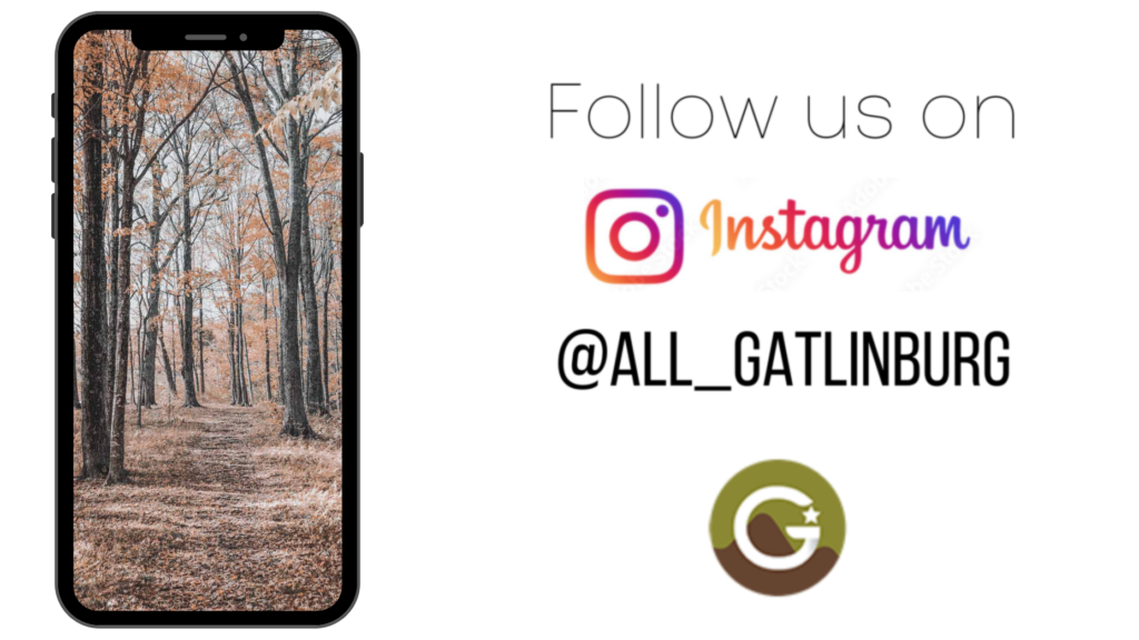 Follow us on Instagram for all the content in Gatlinburg!