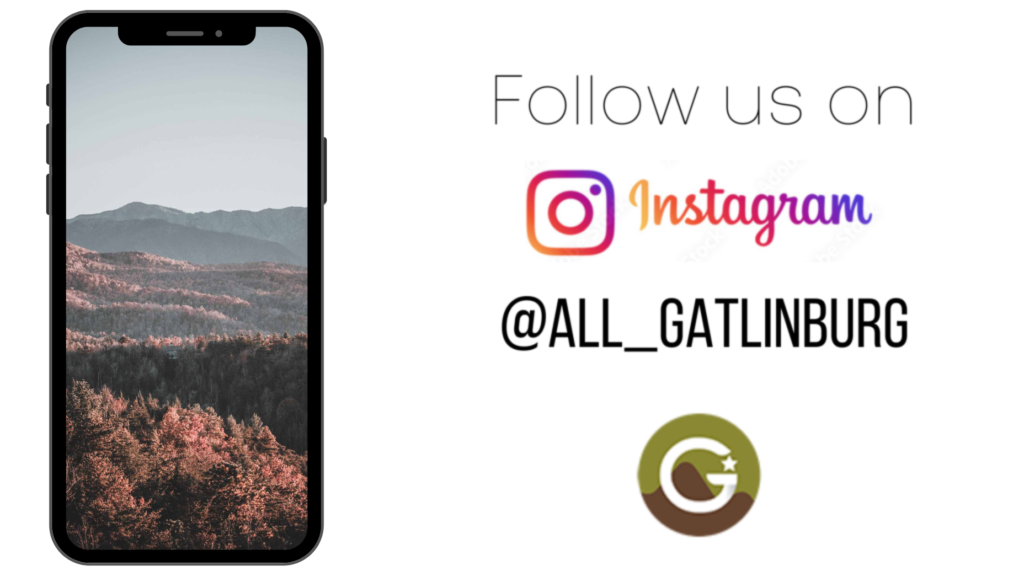 Follow us on Instagram for all the content in Gatlinburg!