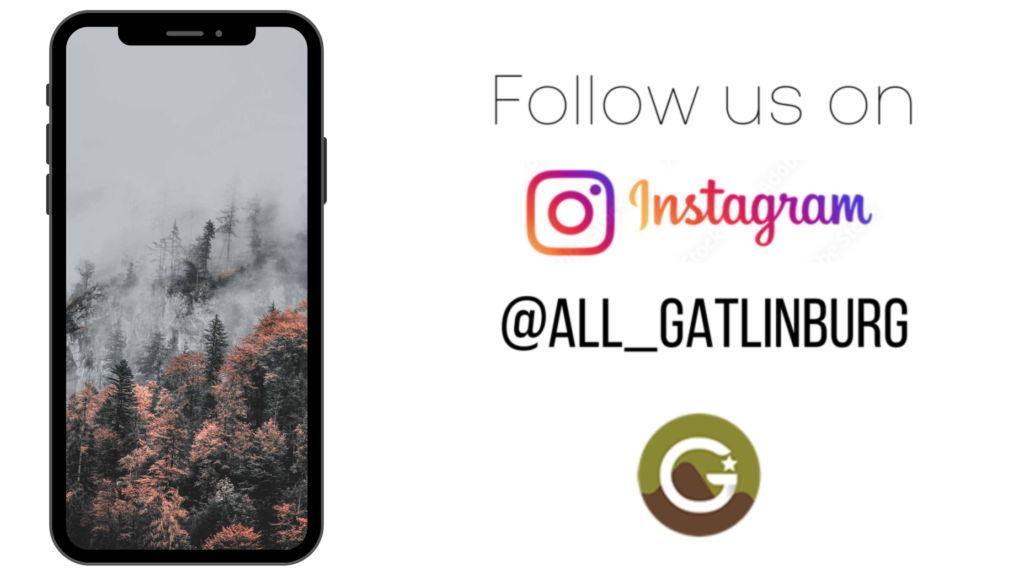 Follow us on Instagram for all the content in Gatlinburg!