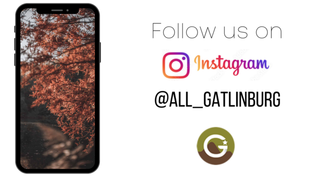 Follow us on Instagram for all the content in Gatlinburg!