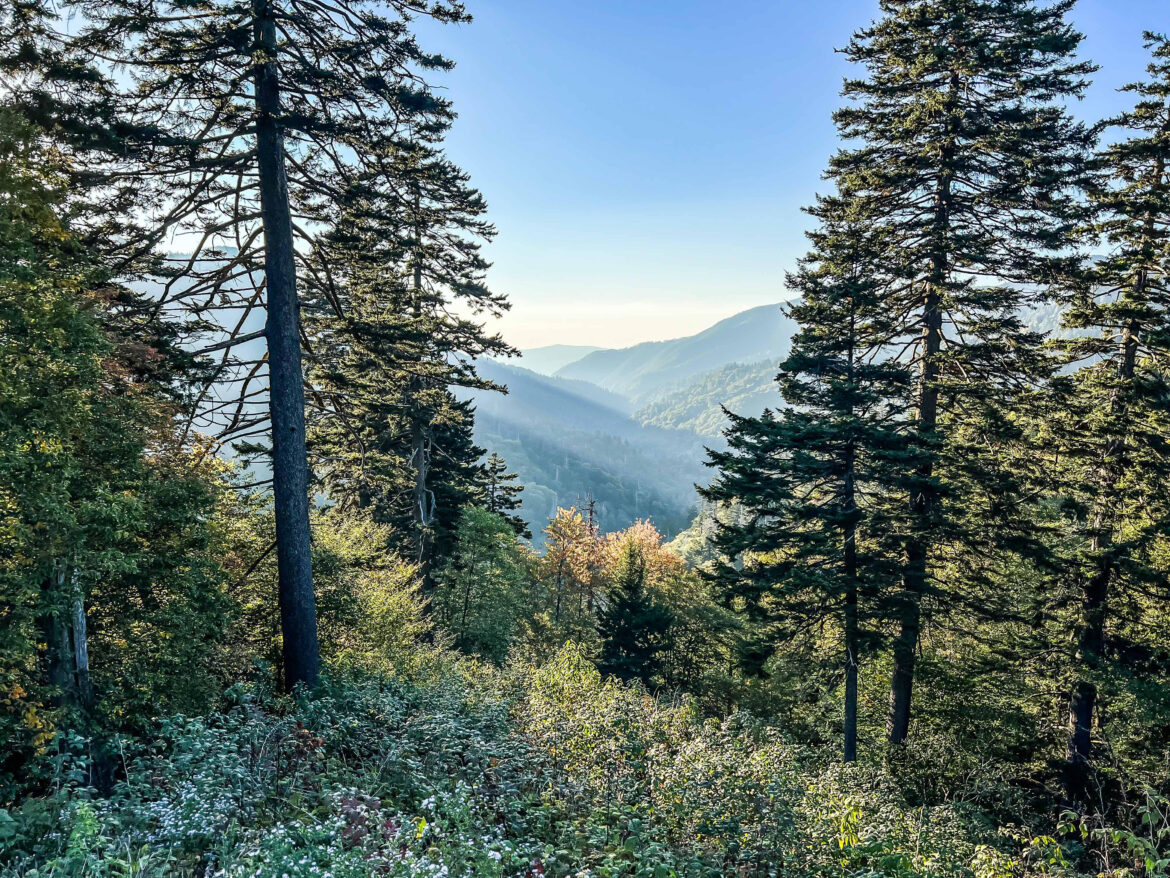 The Perfect 1-Day Gatlinburg Itinerary To See And Explore The Very Best Of This Mountain Town