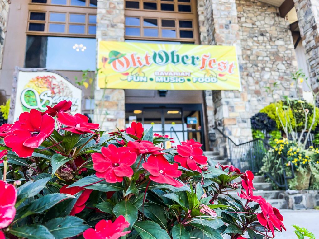 Ober Gatlinburg - Is It Worth The Price?