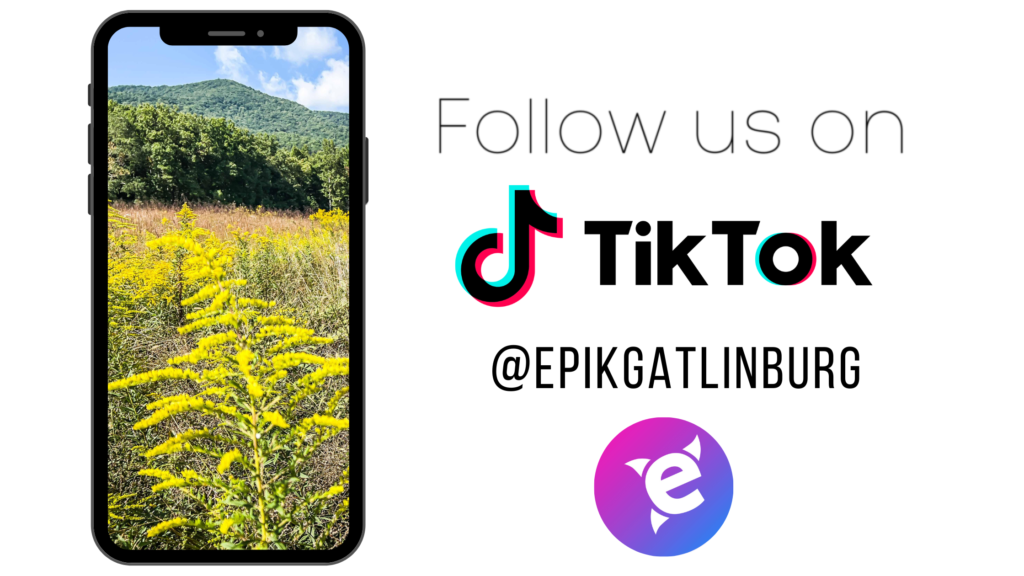 Follow us on TikTok for all the content in Gatlinburg!