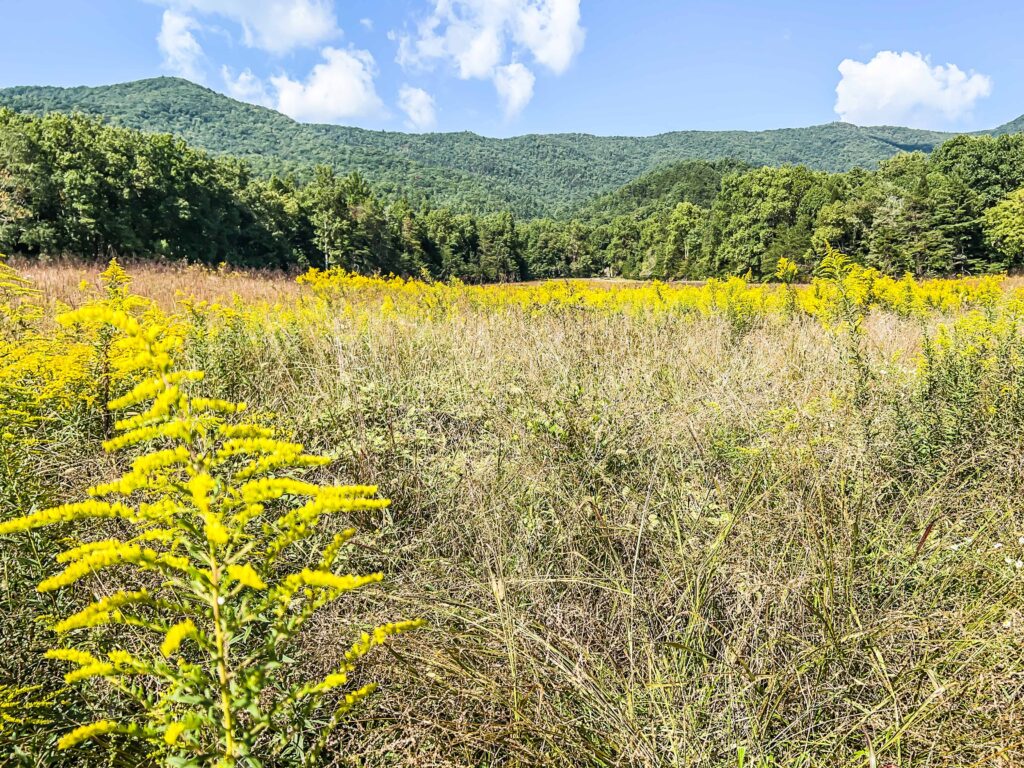 Cades Cove Loop Beautiful Weather