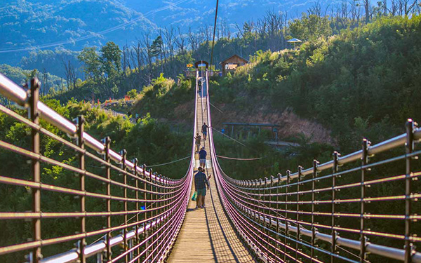 Ultimate Gatlinburg Vacation Experience -  Bridge