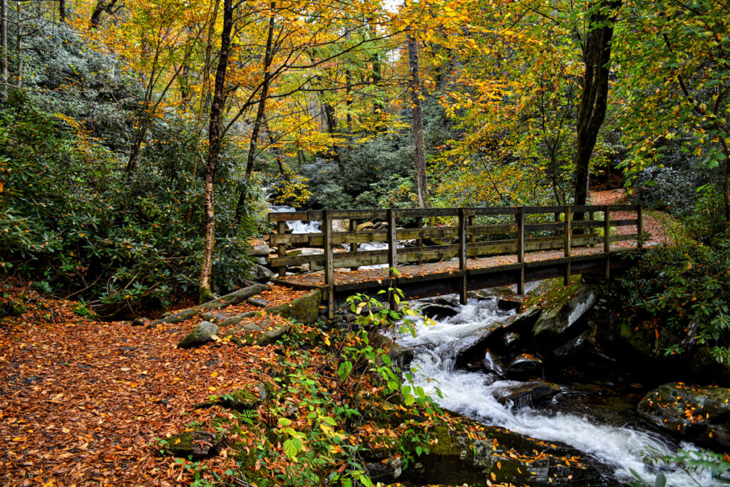 Autumn Great Smoky Mountain National Park