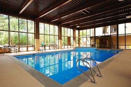 Quality Inn Historic East- Busch Garden Area Pool 450×300