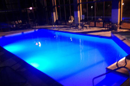 Quality Inn Historic East- Busch Garden Area Pool Jacuzzi 450×300