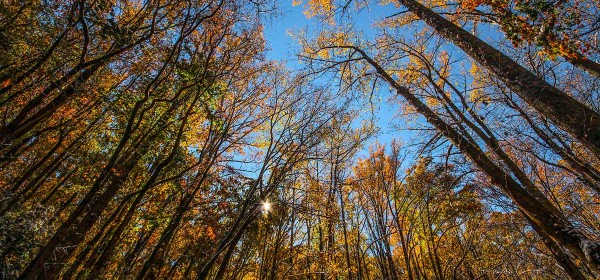 Smokymountains