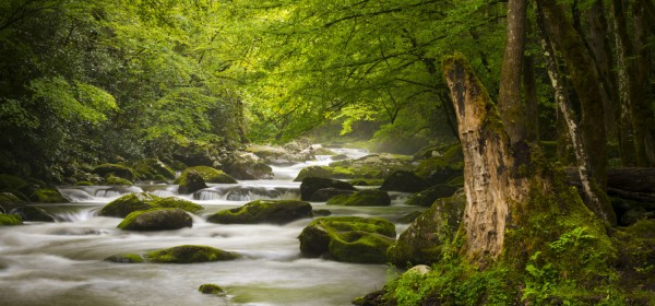 Peaceful-great-smoky-mountains-national-park-foggy-tremont-river-relaxing-nature-landscape-scenics-near-gatlinburg-tn