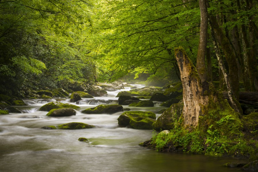 Peaceful-great-smoky-mountains-national-park-foggy-tremont-river-relaxing-nature-landscape-scenics-near-gatlinburg-tn