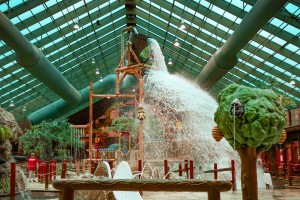 Wild Bear Falls indoor water park