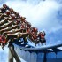 Dollywood 5