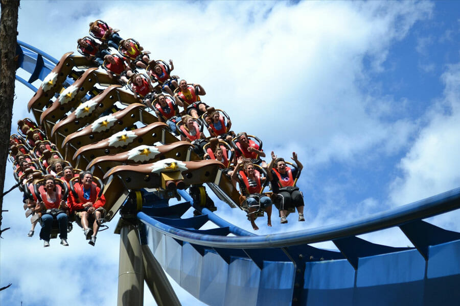 Dollywood 5