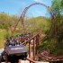 Dollywood 6