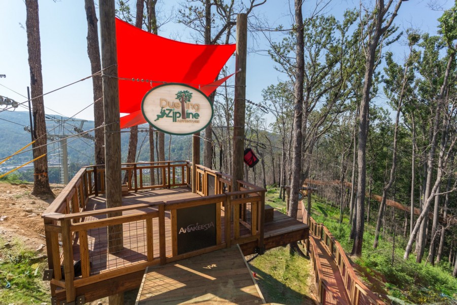 AnakeestaZipline-3