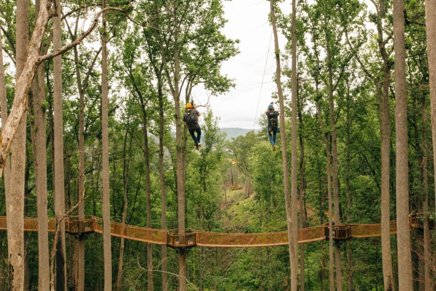 Dueling-Zipline