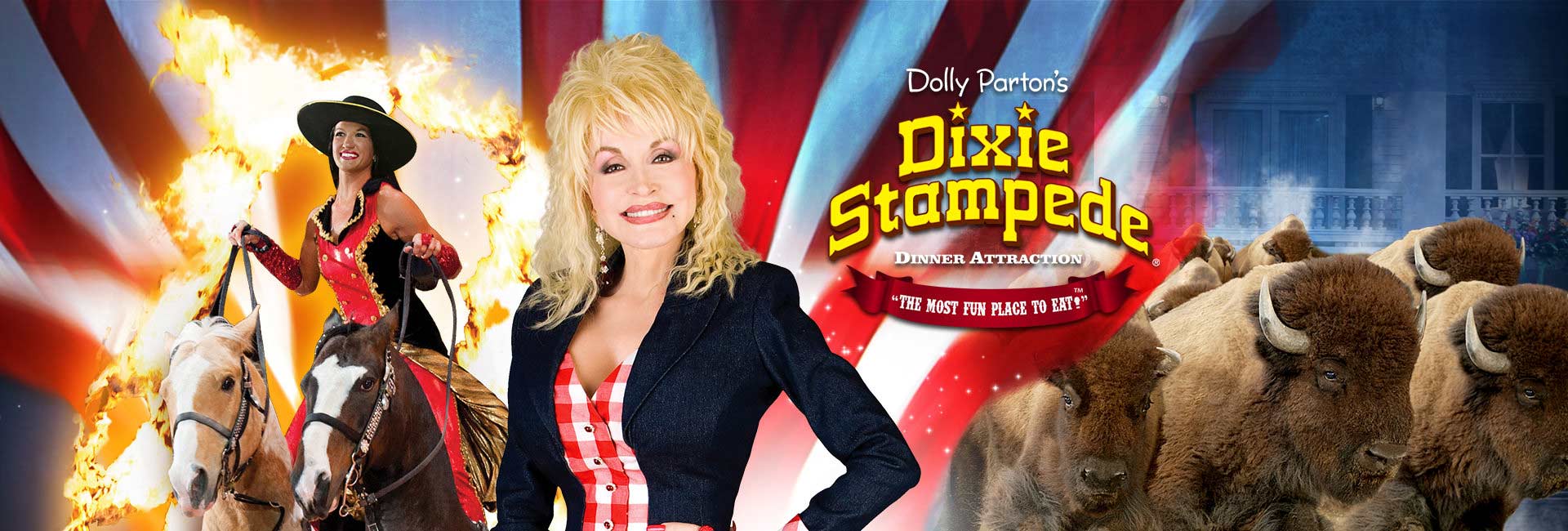 banner-dixie
