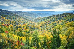 Gatlinburg Summer Mountains