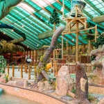 Wild-bear-falls-gatlinburg-main
