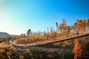 Gatlinburg SkyBridge