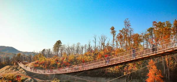 Gatlinburg SkyBridge